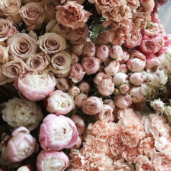 peonydreamqueen